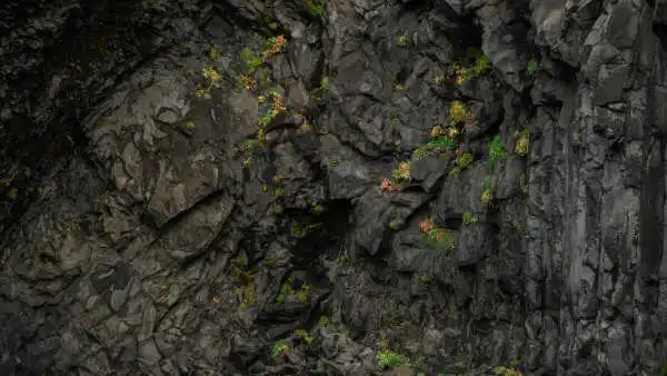 The cave of reynisfjara formed of basaltic columns